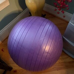 2 Exercise Balls small purple & large black, with pump, jump rope, stretch band